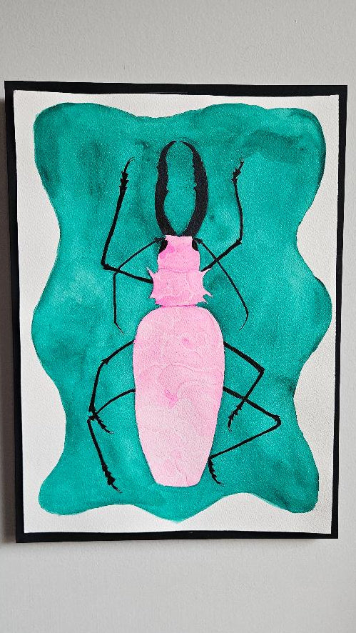 Pink Beetle